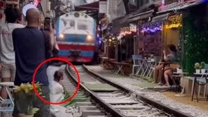 Xử phạt chủ quán cà phê vụ nữ du khách ngồi sát đường ray bị tàu va văng điện thoại