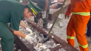 Phát hiện gần 1,2 tấn ngà voi, 80kg xương động vật trong 3 container từ châu Phi