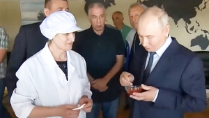 Video ông Putin lần đầu tới quần đảo Kuril, Nhật Bản liền ra tuyên bố