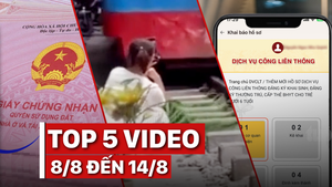 5 video được xem nhiều nhất trên Tuổi Trẻ tuần qua