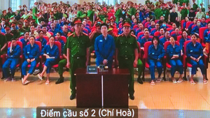 Video xét xử 227 bị cáo trong chuyên án ma túy VN10 liên quan 4 tiếp viên hàng không