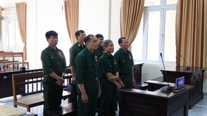 Tòa miễn án phí hình sự cho 6 bị cáo cựu chiến binh kêu oan trong vụ hủy hoại rừng