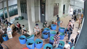 Góc nhìn trưa nay: Hồ cá lóc hơn 3 tấn bị sét đánh; Khởi tố vụ án tai nạn lao động làm 5 người chết tại trại nuôi heo