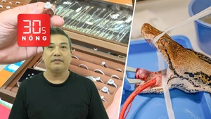 Bản tin 30s nóng: Kết quả giám định kim cương liên quan bị can Đặng Ngọc Thảo; Chữa ung thư cho trăn 