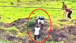 Video cha cố cứu con trai rơi vực, cả hai tử vong, mẹ cũng lao xuống theo ở Ấn Độ
