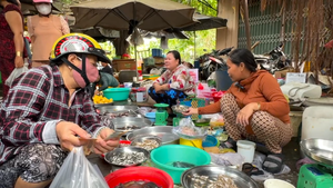 Cá linh đầu mùa nước nổi ra chợ