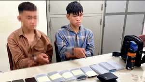 Bắt 2 anh em ruột gây ra nhiều vụ chiếm đoạt tài sản từ An Giang đến Quảng Ngãi