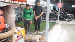 Công an TP.HCM bắt người trộm 5 con chó và người thu mua trong một buổi sáng