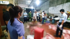 Chuyển công an điều tra vụ gần 1 tấn thịt heo nghi nhiễm dịch bệnh ở Hưng Yên