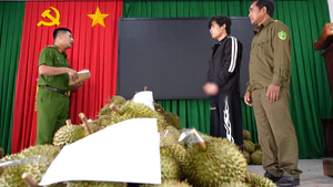 Từ Hải Phòng vào Đắk Lắk làm thuê rồi trộm hơn 1,6 tấn sầu riêng