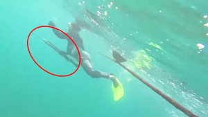 Xác minh clip một người dùng dụng cụ tự chế bắn cá trong lúc lặn biển ở Nha Trang
