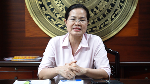 Giám đốc Sở Tư pháp TP.HCM: Biến cơ chế vượt trội của Luật Phát triển đô thị thành nguồn lực