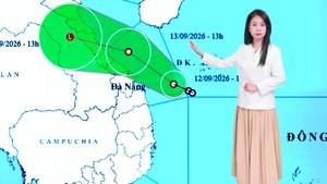 Thời tiết đêm 12 ngày 13-9: Áp thấp nhiệt đới gây mưa lớn từ Trung Bộ ra Bắc Bộ