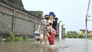 Người dân vùng hạ du Bình Thuận cũ lo chạy lụt khi nhiều hồ chứa xả nước qua tràn