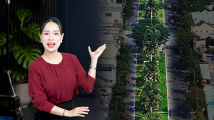 Dải phân cách 13m ở Tam Kỳ phát huy giá trị sau gần 30 năm