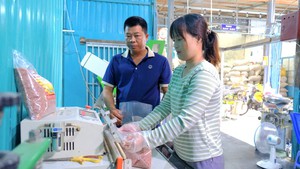 Gạo huyết rồng của nông dân ở Đồng Tháp tiêu thụ ổn định nhờ lối đi riêng