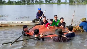 Trữ cá đồng, đón khách du lịch giữa mùa nước nổi ở miền Tây