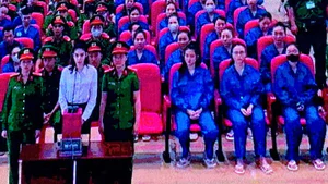 Vụ ma túy VN10: 227 bị cáo nhận án, trong đó 11 án tử hình, 19 án chung thân