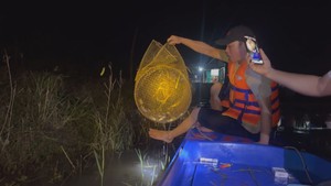 Góc nhìn trưa nay: Du khách thích thú trải nghiệm đêm trên sông nước 