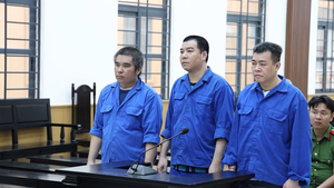 Cướp hơn 54 tấn cá tra nguyên liệu để cấn trừ nợ, nhóm bị cáo lãnh án tù