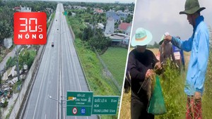 Bản tin 30s nóng: Cao tốc Bến Lức - Long Thành trước giờ thông xe; Săn chuột đồng mùa nước nổi