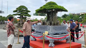 Ngắm hai 'siêu cây' bonsai được chủ nhân định giá 6,3 tỉ và 3,4 tỉ đồng 