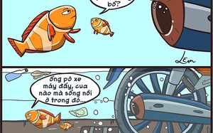 Bố con Nemo đi dạo trong triều cường