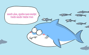 Bài học thiết thực từ cá mập hay nói đạo lý