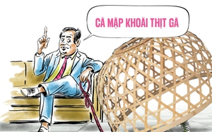 Cá mập khoái thịt gà