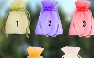Quiz: Chiếc túi tiết lộ giấc mơ của bạn có thể thành hiện thực