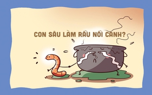Bếp ăn bán trú xưa và nay: Con sâu làm rầu nồi canh?