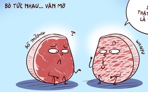 Tâm sự thịt bò - thịt trâu, nghe mà tức