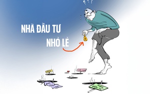 Chân dung nhà đầu tư nhỏ lẻ: Mong manh dễ vỡ