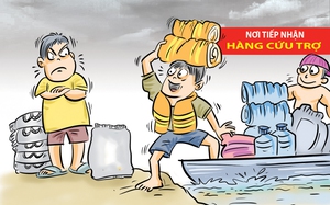 Xin hãy cứu trợ đúng cách