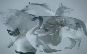 Quiz: Con vật thấy đầu tiên tiết lộ vận mệnh của bạn