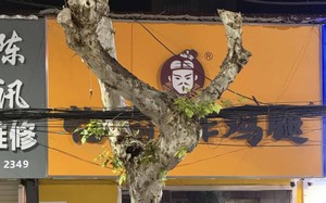 Ảnh vui 8-1: 'Oh wow! Nó ba-lê mà nó cũng yoga làm sao?!'