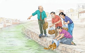 Chất lượng nước đảm bảo cá chép ông Táo sống 90%