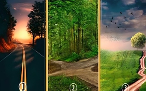 Quiz: Bạn sắp thực hiện được ước mơ của mình chưa?