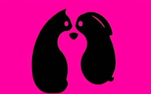 Quiz: Bạn giàu lòng trắc ẩn và luôn biết đồng cảm?