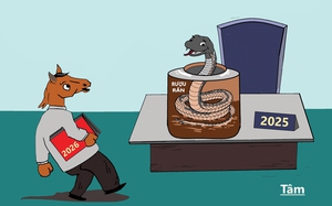 Ất Tỵ xin được 'ngâm' thêm một năm trước khi bàn giao