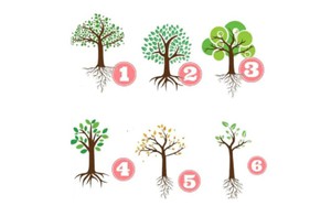 Quiz: Bạn là người cá tính như thế nào?