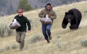 Columbia gây chú ý khi ra mắt bia 'ủ từ phân gấu'