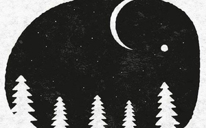 Quiz: Bạn là nhà lãnh đạo bản lĩnh hay kẻ mộng mơ thuần khiết?