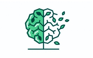 Quiz: Bạn là người rất kiên định và có ý chí mạnh mẽ?