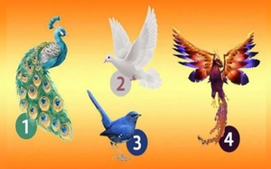 Quiz: Bạn sắp đón nhận tin vui gì?