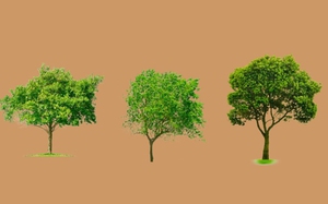 Quiz: Bạn linh hoạt hay là người sở hữu tư duy sâu sắc?