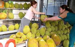 Cái vòng luẩn quẩn 'trồng chặt, lên rẫy, xuống ruộng' của người nông dân