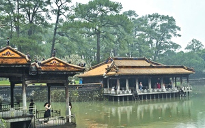 Huế ngàn thông