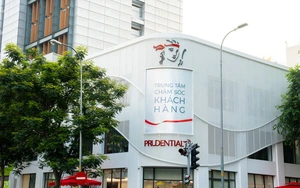 Prudential Việt Nam mang hơn 22.500 tỉ đồng đầu tư chứng khoán