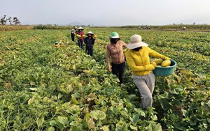 Nhà không cần khóa cửa, hàng xóm mang qua mang lại tô canh nóng, thời đó đã thành xa xưa?